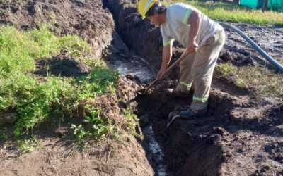 CONTINUAMOS TRABAJANDO PARA OPTIMIZAR EL SISTEMA