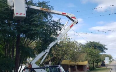 REPARACIÓN LINEA TRONCAL