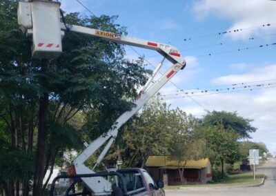 REPARACIÓN LINEA TRONCAL