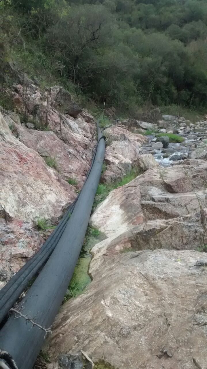 WhatsApp Image 2024-03-21 at 18.06.34 (1)