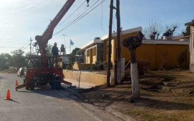 REEMPLAZO DE POSTACIÓN EN PELIGRO EN EL MANZANO